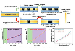 Record efficiency! Efficient, highly stable lateral single-crystal perovskite cells achieved through crystal engineering and weak ion migration