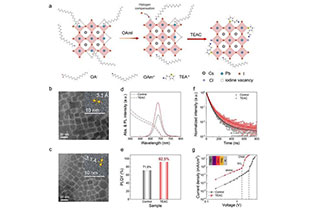 Multifunctional ligands synergistically improve the optoelectronic properties of CsPbI3 nanocrystals to achieve high-performance red PeLED